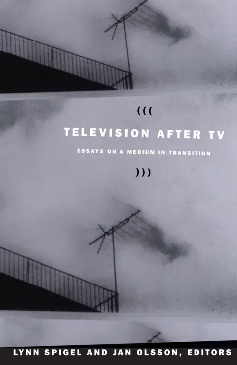 Cover of Television after TV