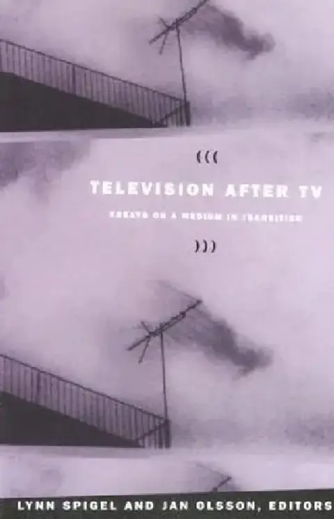 Cover of Television after TV