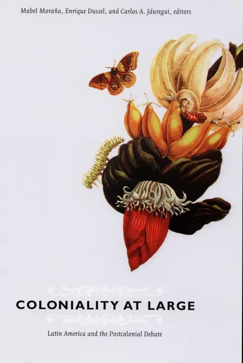 Cover of Coloniality at Large