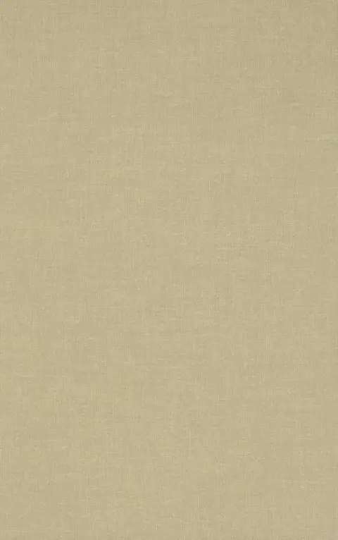 Cover of The Search for the Codex Cardona