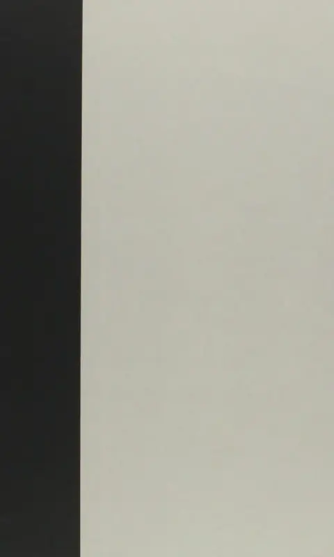 Cover of Darkening Mirrors