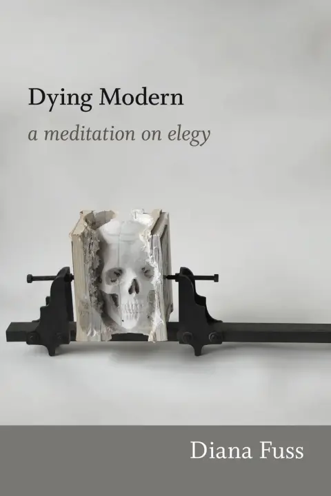 Cover of Dying Modern