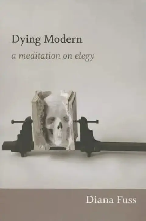 Cover of Dying Modern