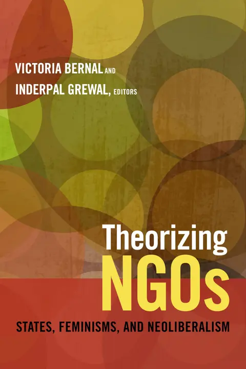 Cover of Theorizing NGOs