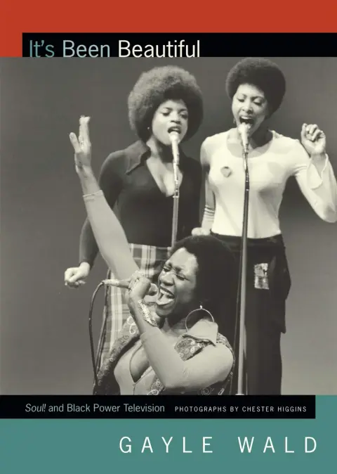 Cover of It's Been Beautiful