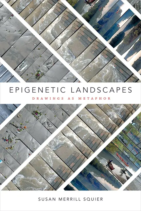 Cover of Epigenetic Landscapes