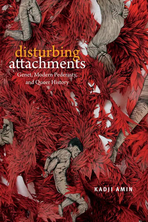 Cover of Disturbing Attachments