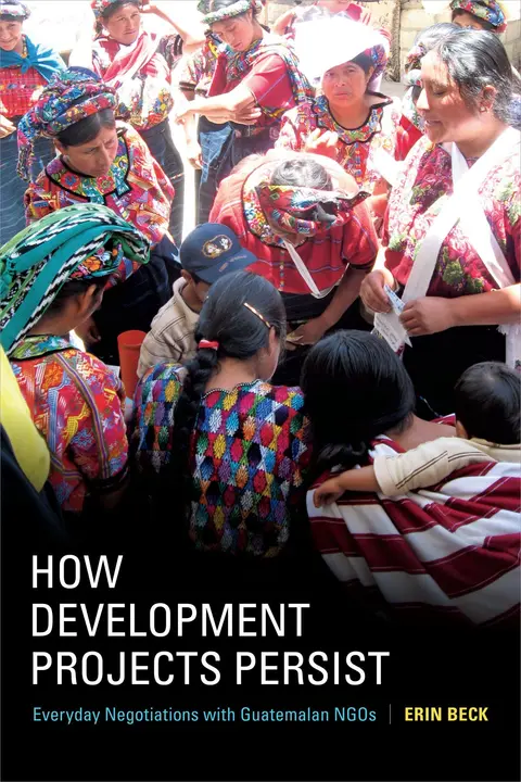 Cover of How Development Projects Persist