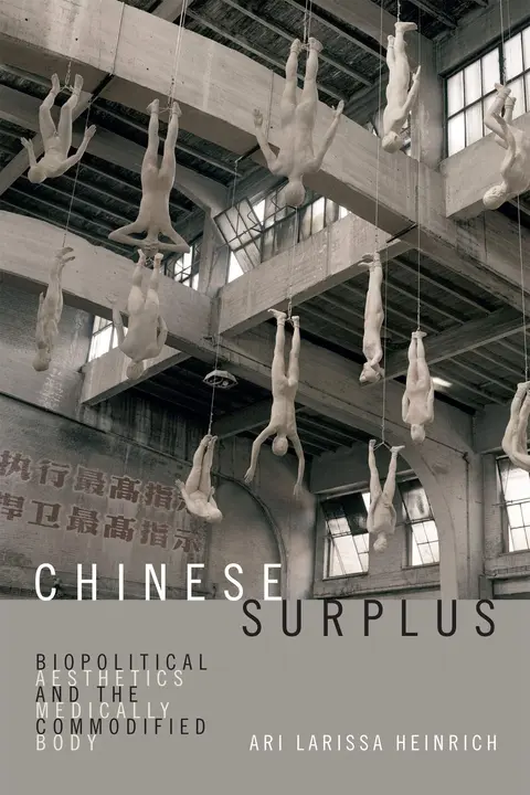 Cover of Chinese Surplus