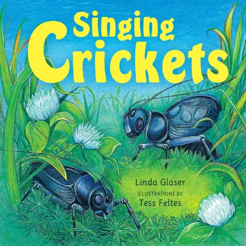 Cover of Singing Crickets