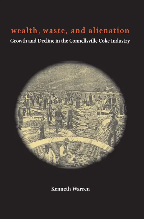 Cover of Wealth, Waste, and Alienation