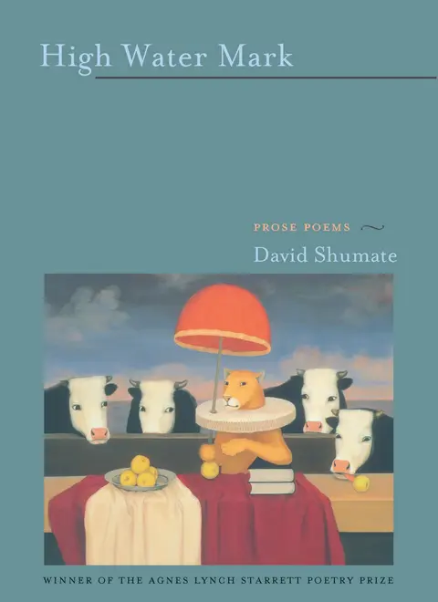 Cover of High Water Mark