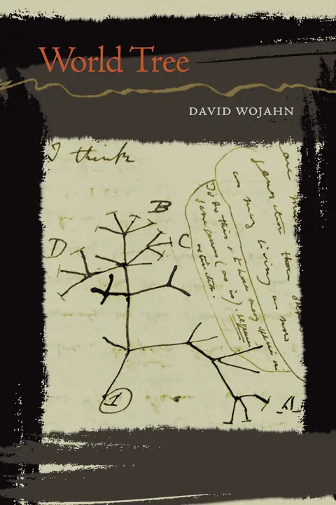 Cover of World Tree