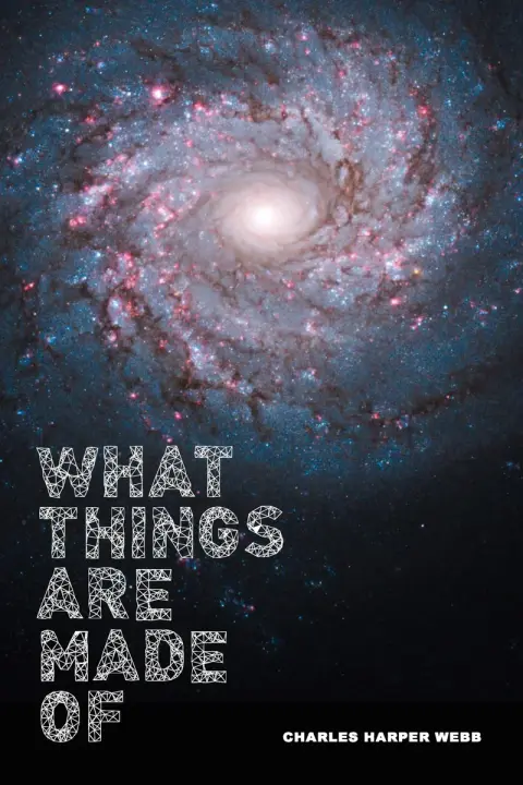 Cover of What Things Are Made of