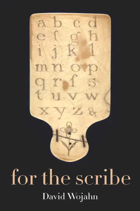 Cover of For the Scribe