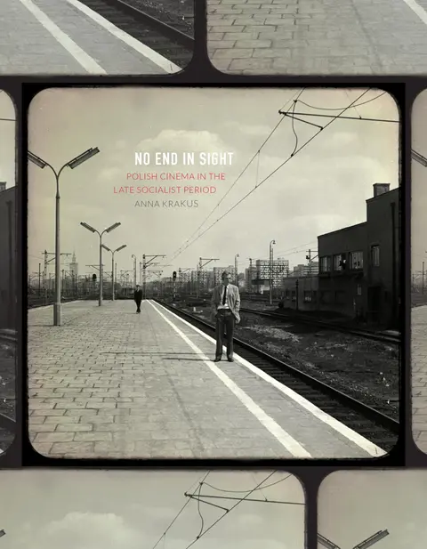Cover of No End in Sight