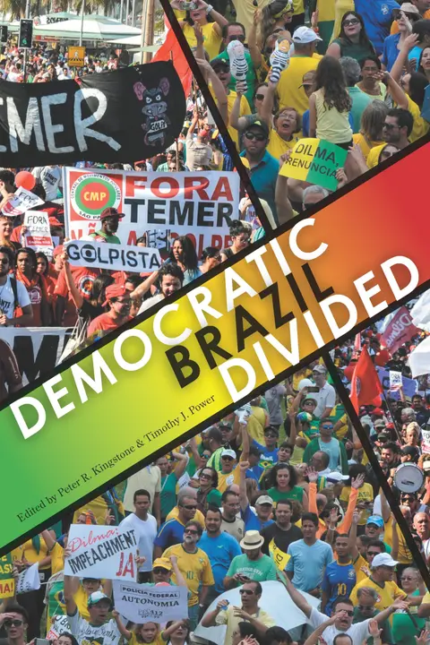 Cover of Democratic Brazil Divided