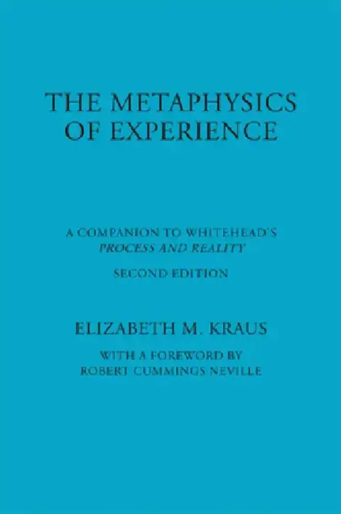 Cover of Metaphysics of Experience