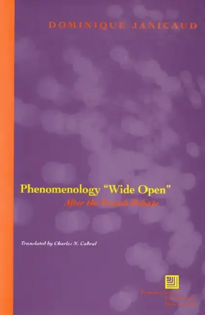 Cover of Phenomenology Wide Open