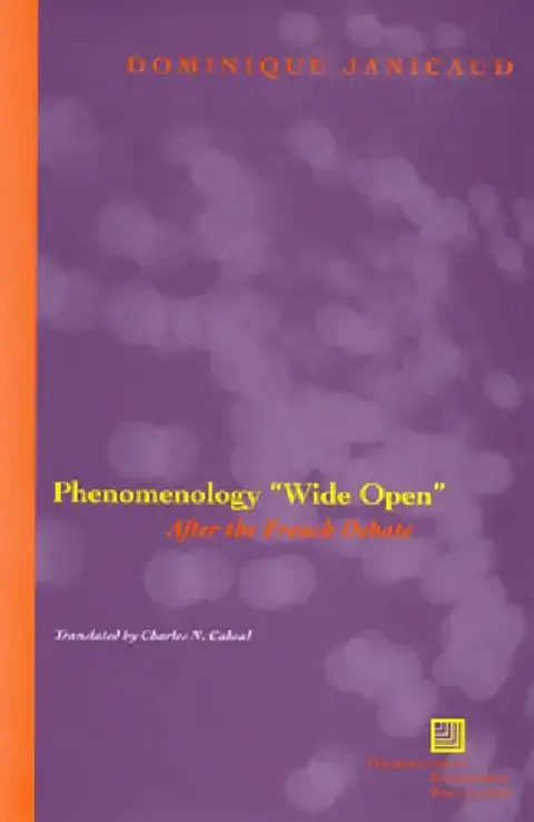 Cover of Phenomenology Wide Open