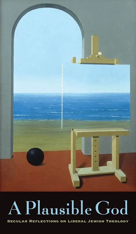 Cover of A Plausible God
