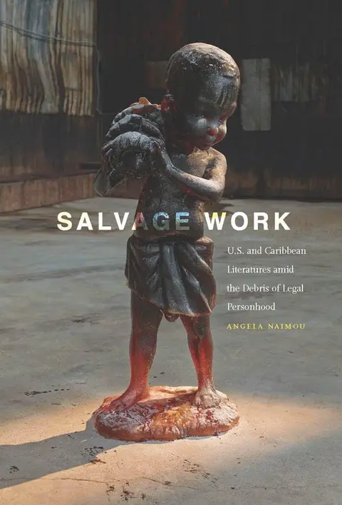 Cover of Salvage Work