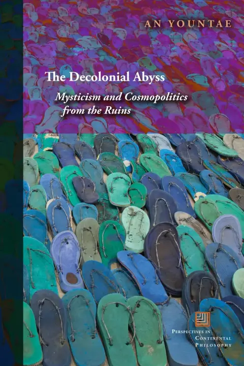 Cover of The Decolonial Abyss