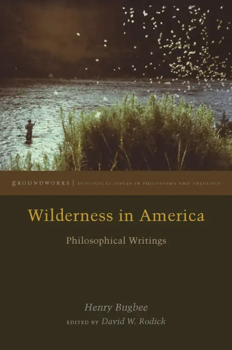 Cover of Wilderness in America
