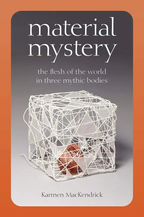Cover of Material Mystery