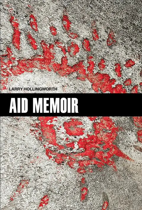 Cover of Aid Memoir