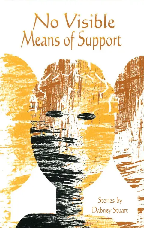 Cover of No Visible Means of Support