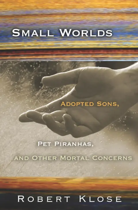 Cover of Small Worlds