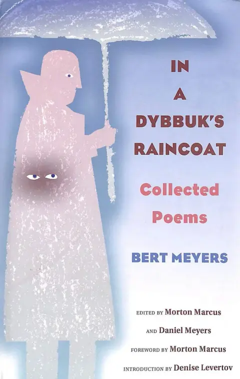 Cover of In a Dybbuk's Raincoat