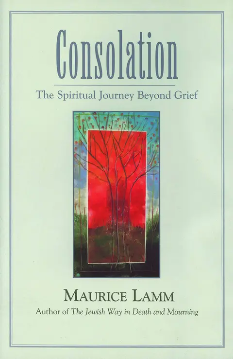 Cover of Consolation