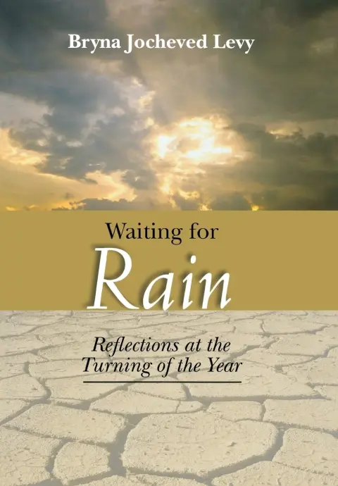 Cover of Waiting for Rain