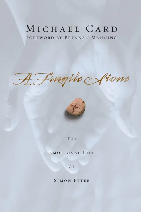 Cover of A Fragile Stone