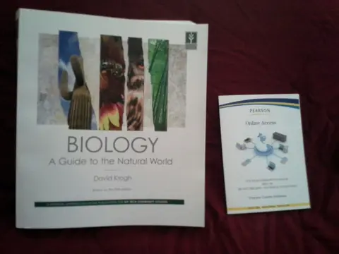Cover of Cultural Diversity
