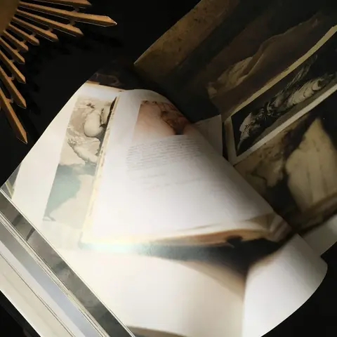 Cover of Jenny Saville