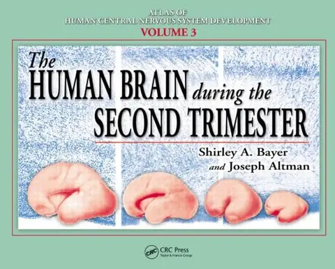 Cover of The Human Brain During the Second Trimester