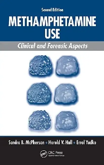 Cover of Methamphetamine Use
