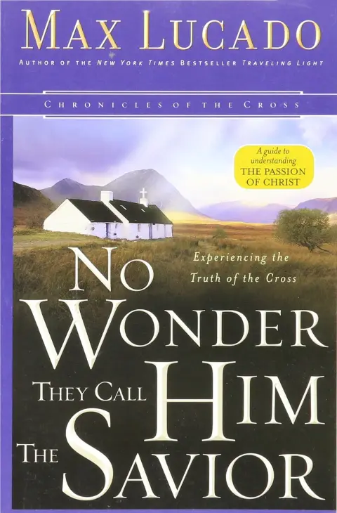 Cover of No Wonder They Call Him the Savior