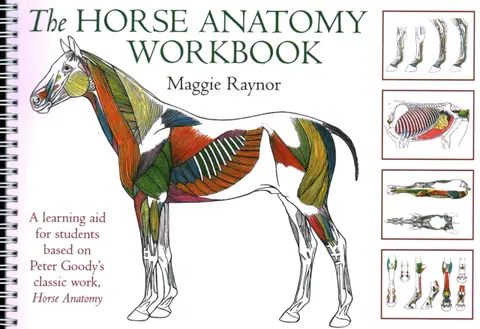 Cover of Horse Anatomy Workbook