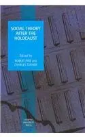 Cover of Social Theory after the Holocaust