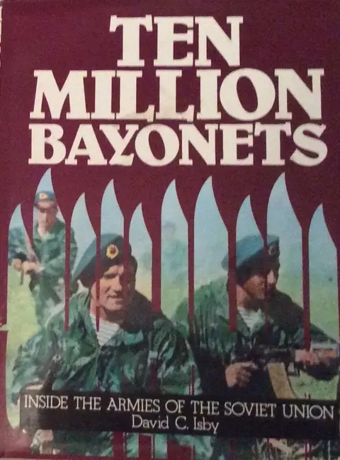 Cover of Ten Million Bayonets