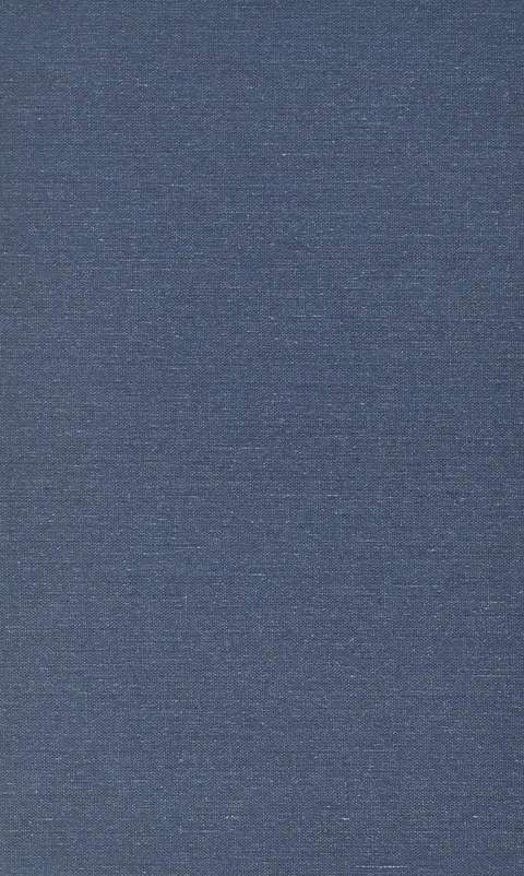 Cover of Dostoevskii and Britain