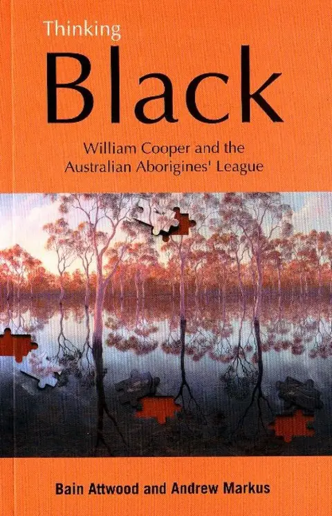 Cover of Thinking Black