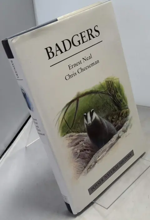 Cover of Badgers
