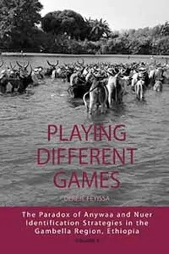 Cover of Playing Different Games