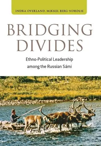 Cover of Bridging Divides
