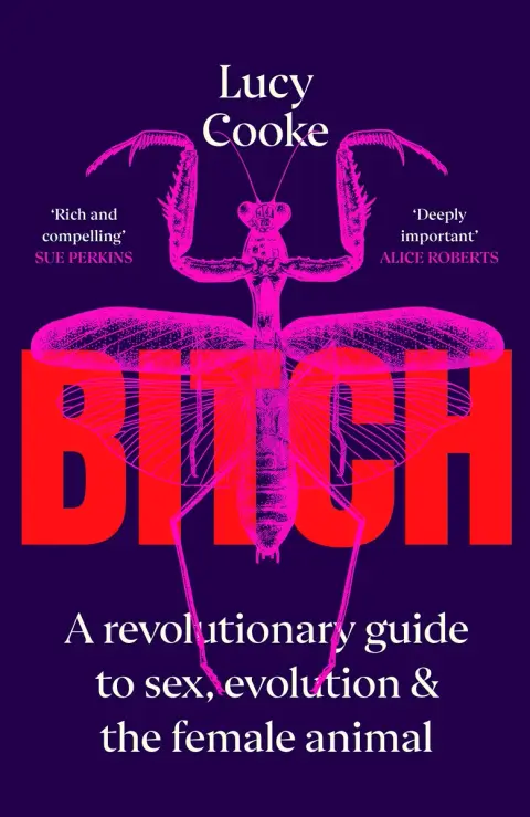 Cover of Bitch